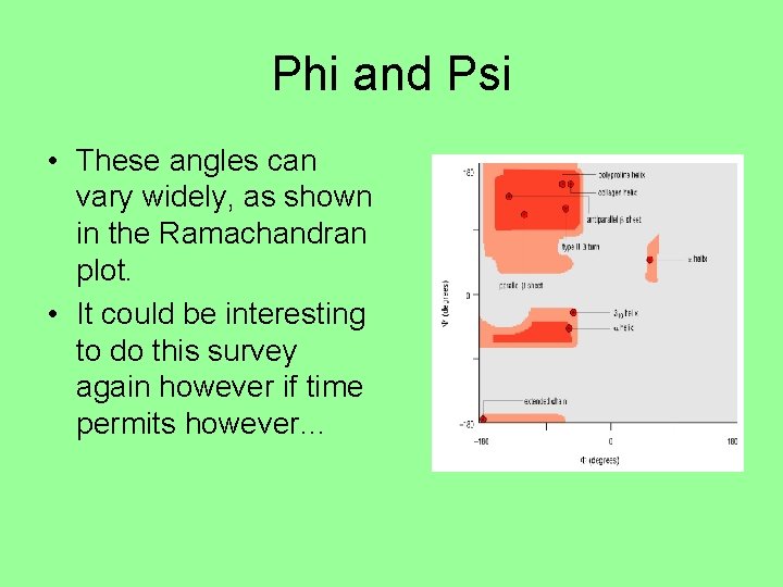Phi and Psi • These angles can vary widely, as shown in the Ramachandran