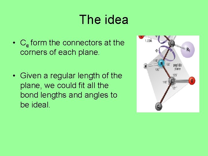 The idea • Cα form the connectors at the corners of each plane. •