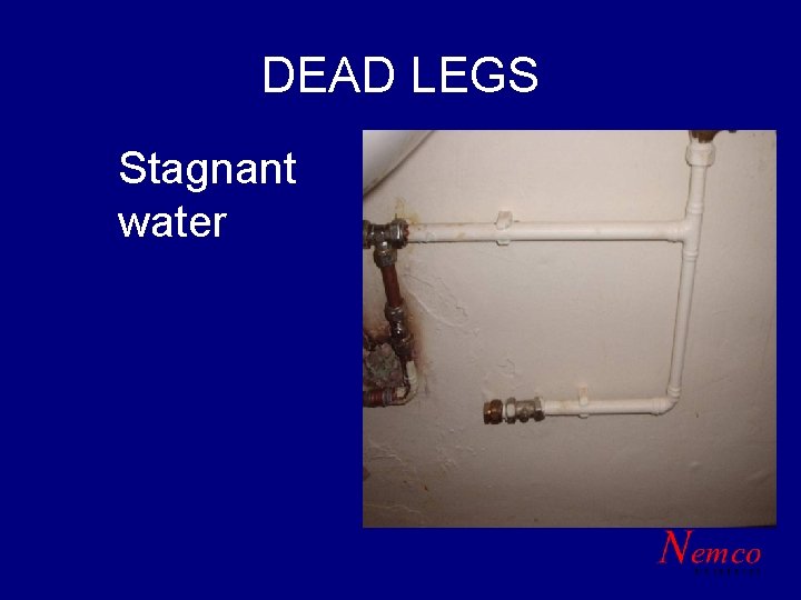 DEAD LEGS Stagnant water 