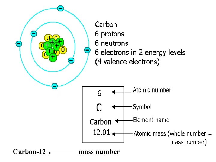 Carbon-12 mass number 