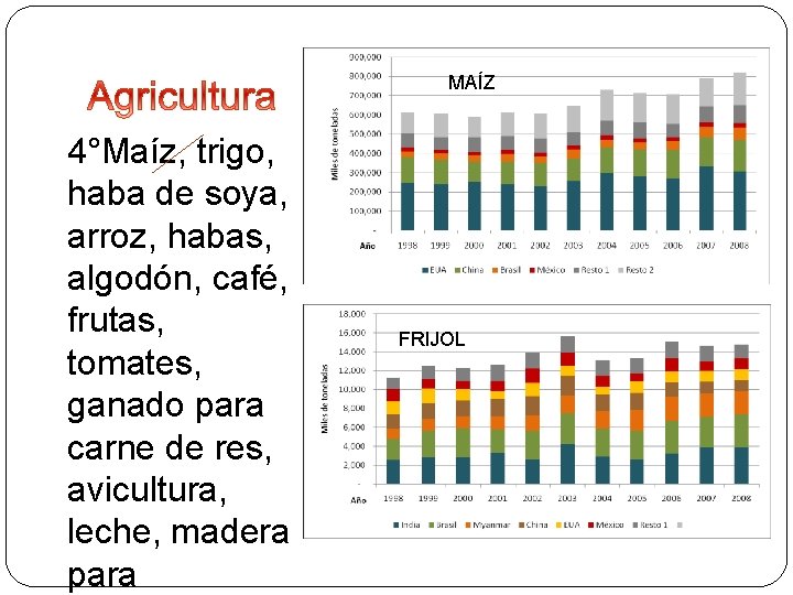 MAÍZ 4°Maíz, trigo, haba de soya, arroz, habas, algodón, café, frutas, tomates, ganado para