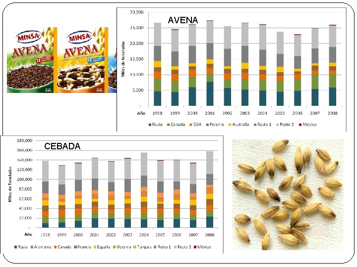 AVENA CEBADA 