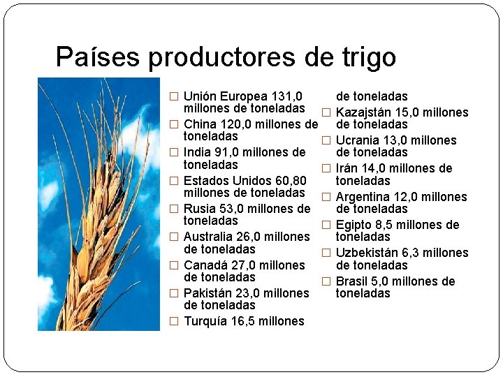 Países productores de trigo � Unión Europea 131, 0 � � � � millones