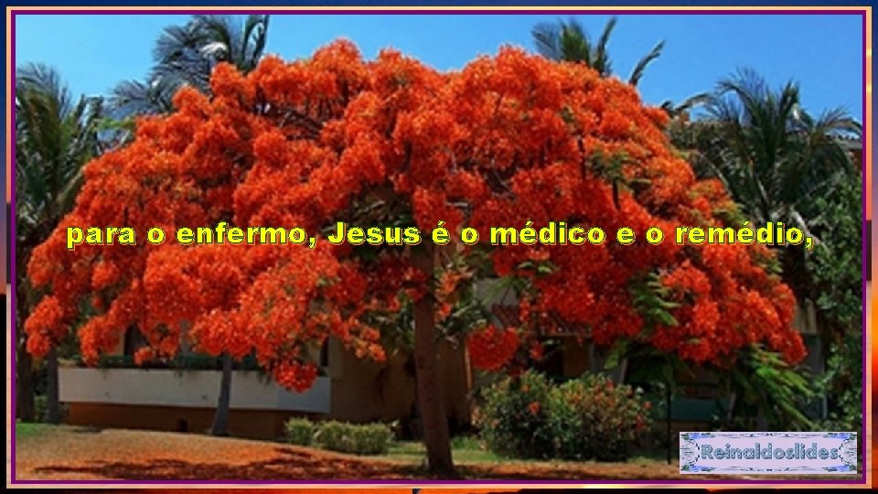 para o enfermo, Jesus é o médico e o remédio, 