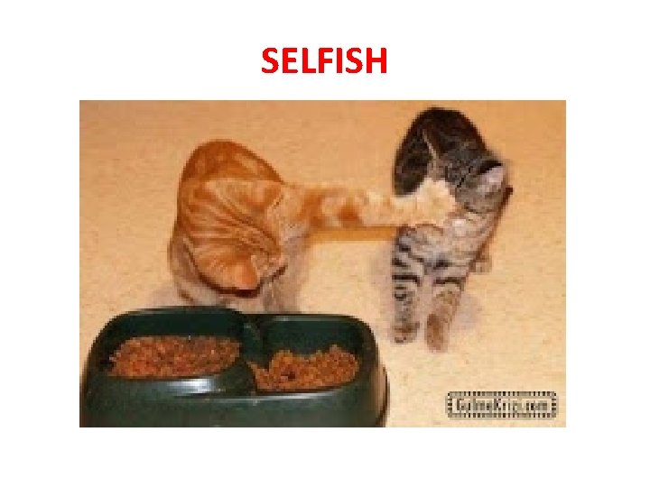 SELFISH 