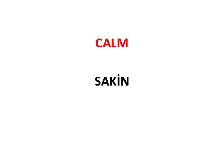 CALM SAKİN 