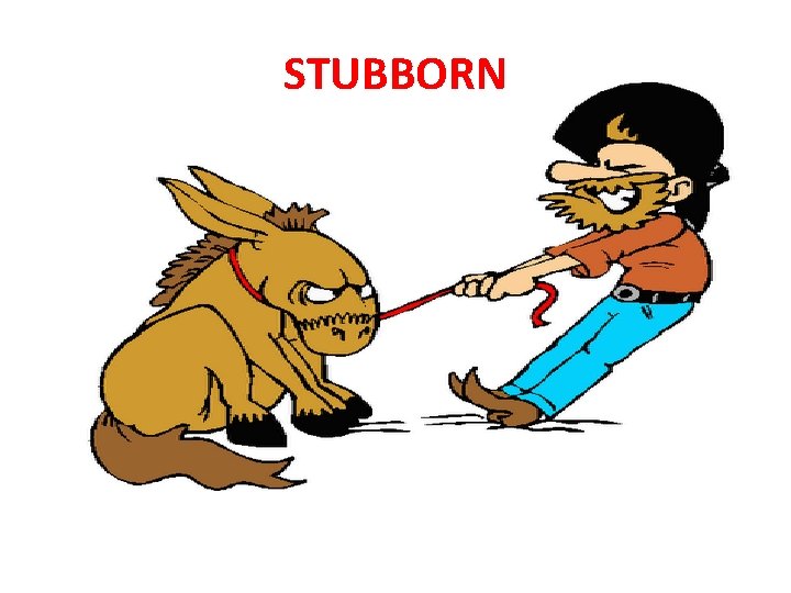 STUBBORN 