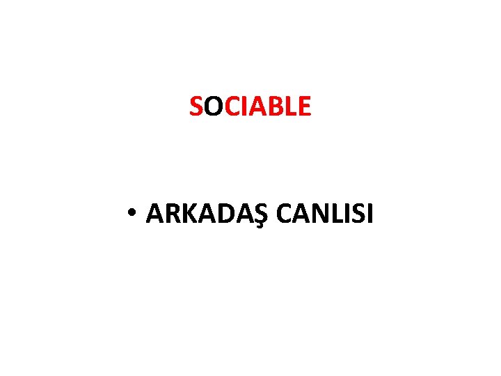 SOCIABLE • ARKADAŞ CANLISI 