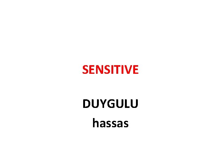 SENSITIVE DUYGULU hassas 