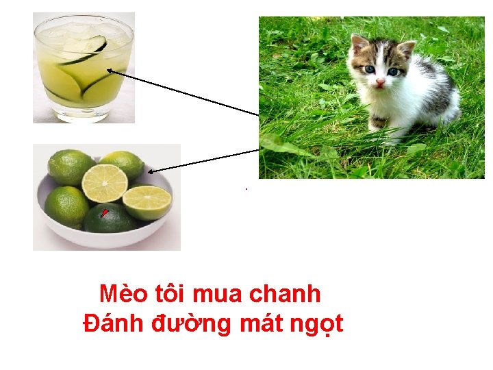 . Mèo tôi mua chanh Đánh đường mát ngọt 