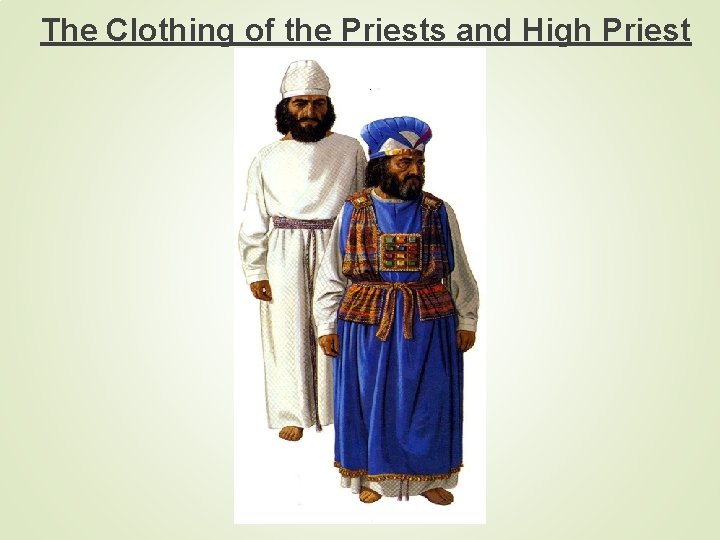 The Clothing of the Priests and High Priest 