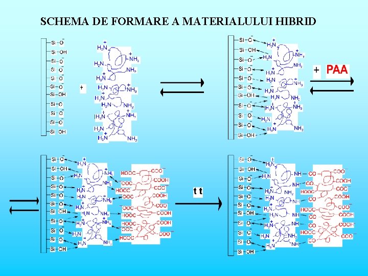 SCHEMA DE FORMARE A MATERIALULUI HIBRID 