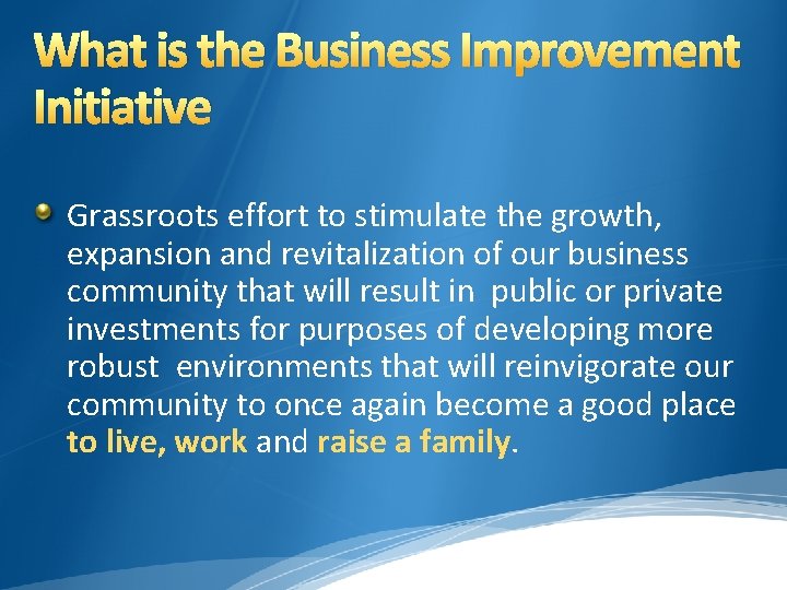 What is the Business Improvement Initiative Grassroots effort to stimulate the growth, expansion and