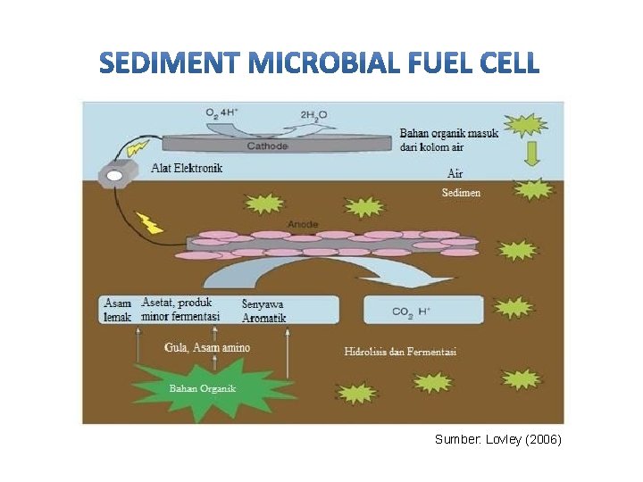 Sumber: Lovley (2006) 