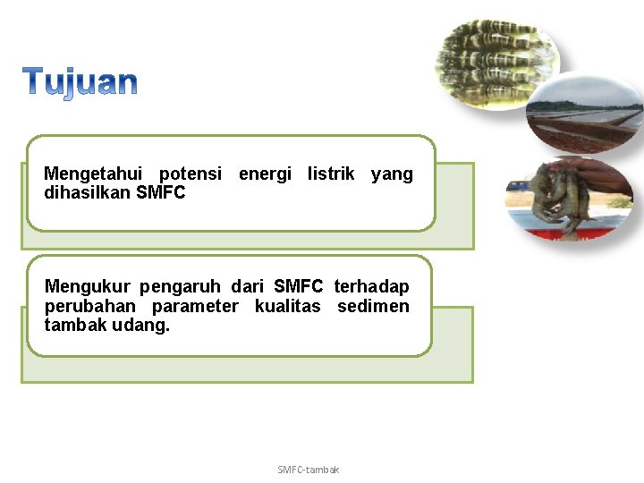 Mengetahui potensi energi listrik yang dihasilkan SMFC Mengukur pengaruh dari SMFC terhadap perubahan parameter