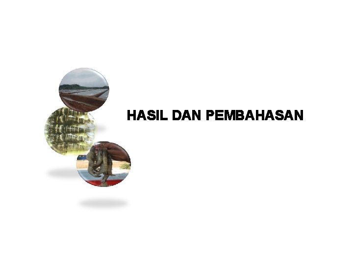 HASIL DAN PEMBAHASAN 