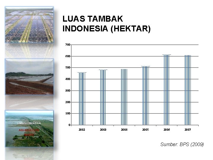 LUAS TAMBAK INDONESIA (HEKTAR) 700 600 500 400 300 200 100 0 2002 2003