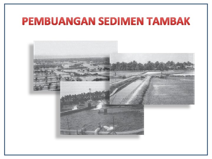 PEMBUANGAN SEDIMEN TAMBAK 
