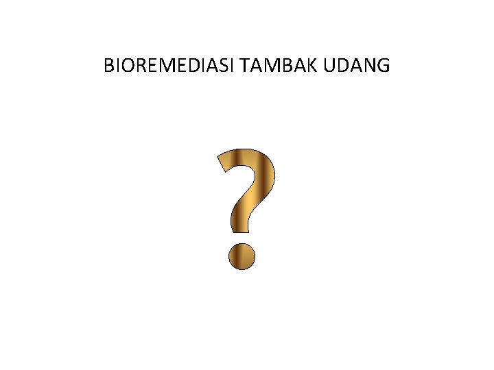 BIOREMEDIASI TAMBAK UDANG 