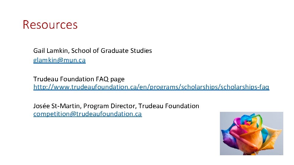 Resources Gail Lamkin, School of Graduate Studies glamkin@mun. ca Trudeau Foundation FAQ page http: