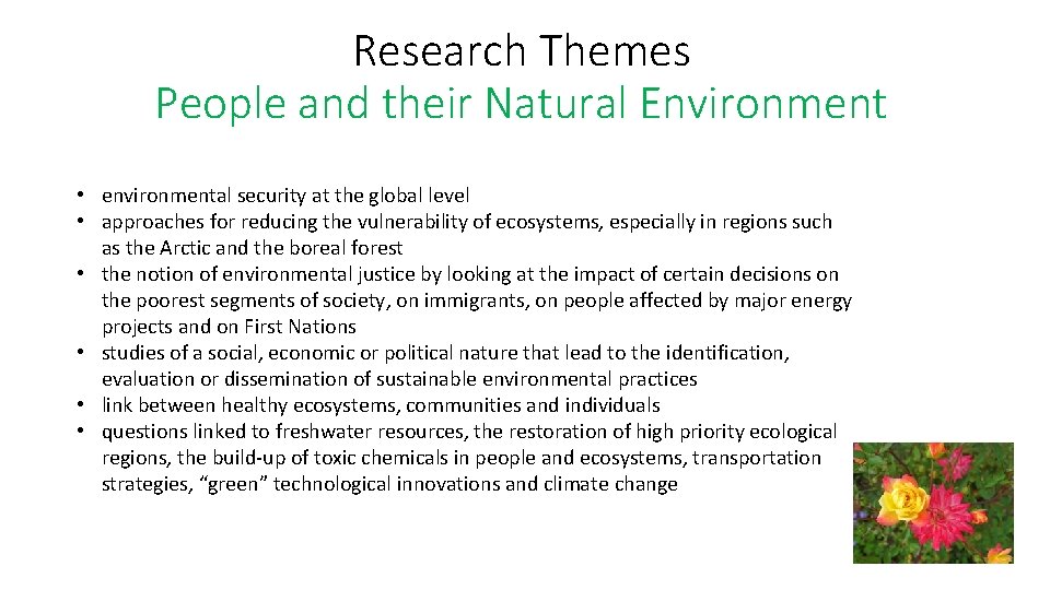 Research Themes People and their Natural Environment • environmental security at the global level
