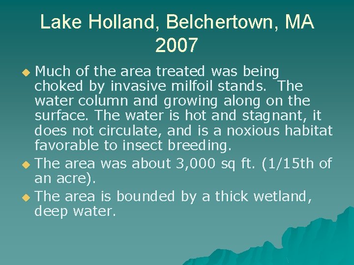 Lake Holland, Belchertown, MA 2007 Much of the area treated was being choked by