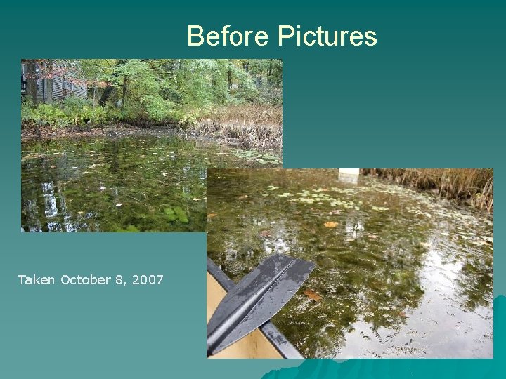 Before Pictures Taken October 8, 2007 