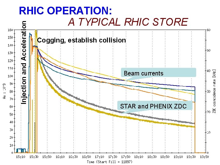 Injection and Acceleration RHIC OPERATION: A TYPICAL RHIC STORE Cogging, establish collision Beam currents