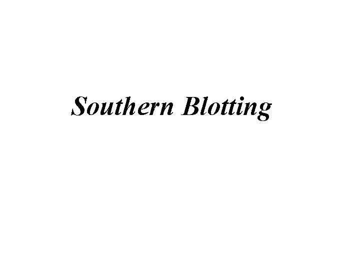 Southern Blotting 