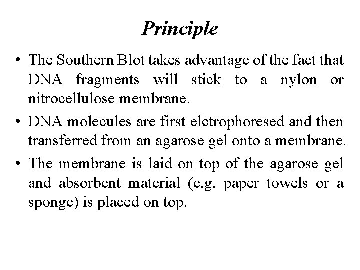 Principle • The Southern Blot takes advantage of the fact that DNA fragments will