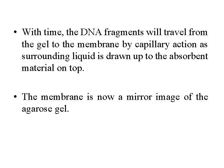  • With time, the DNA fragments will travel from the gel to the