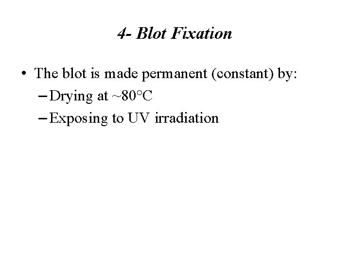 4 - Blot Fixation • The blot is made permanent (constant) by: – Drying