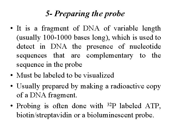 5 - Preparing the probe • It is a fragment of DNA of variable