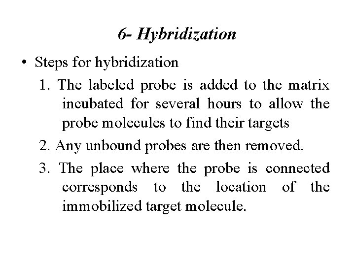 6 - Hybridization • Steps for hybridization 1. The labeled probe is added to