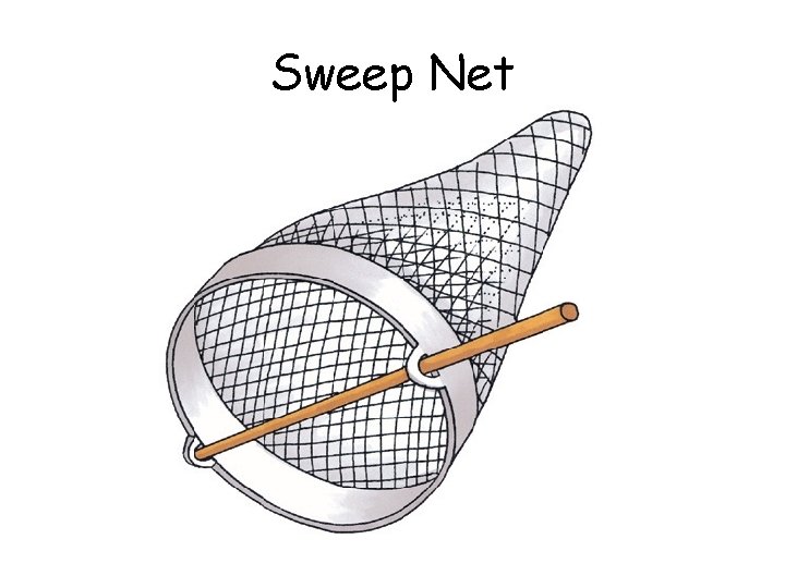Sweep Net 