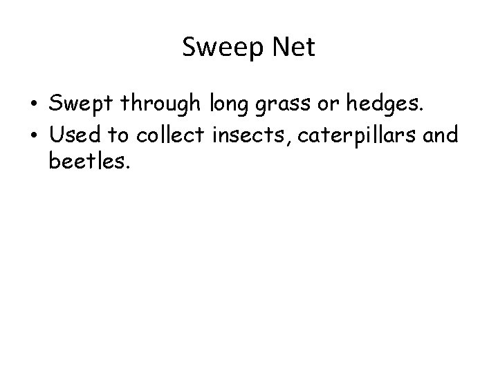 Sweep Net • Swept through long grass or hedges. • Used to collect insects,