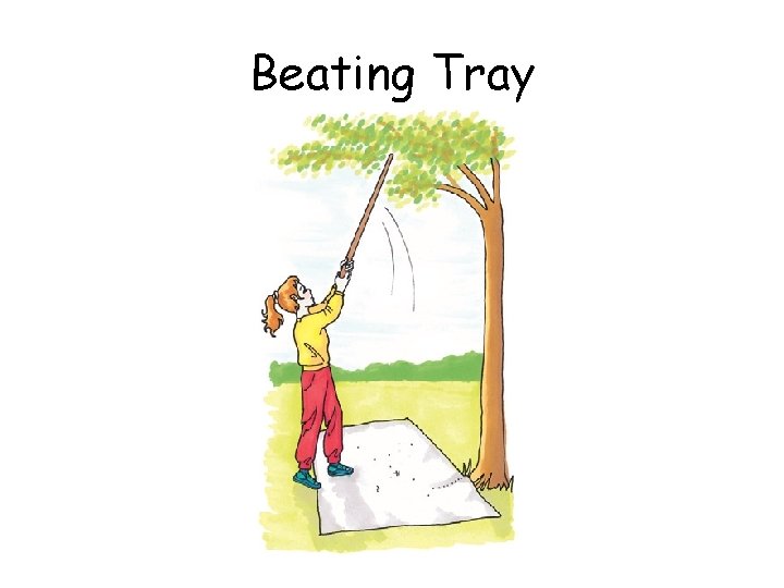 Beating Tray 