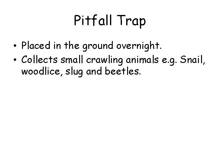 Pitfall Trap • Placed in the ground overnight. • Collects small crawling animals e.