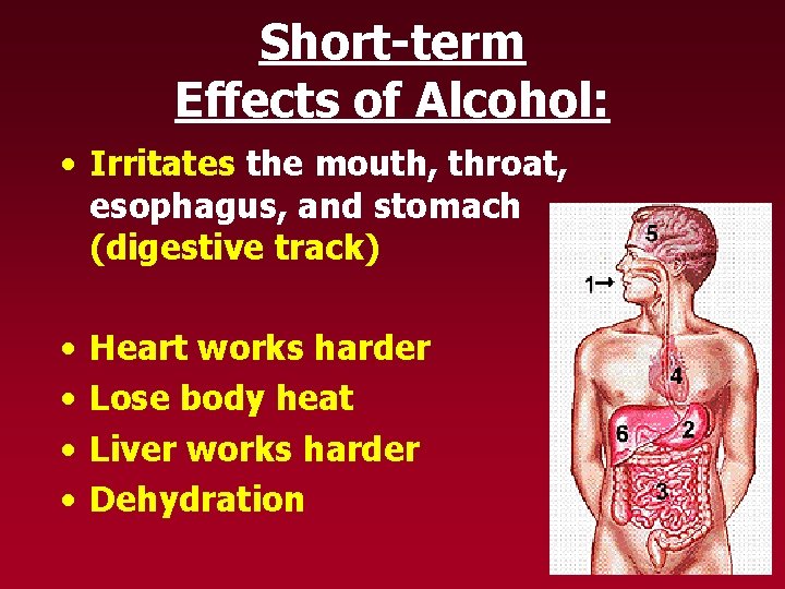 Short-term Effects of Alcohol: • Irritates the mouth, throat, esophagus, and stomach (digestive track)