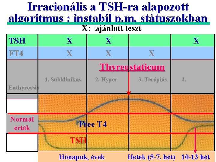 Irracionális a TSH-ra alapozott algoritmus : instabil p. m. státuszokban TSH FT 4 X: