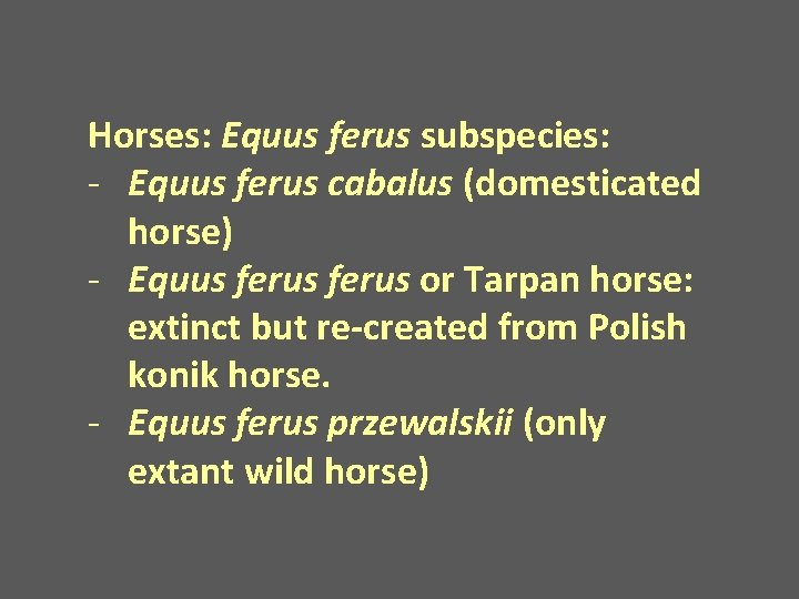 Horses: Equus ferus subspecies: - Equus ferus cabalus (domesticated horse) - Equus ferus or