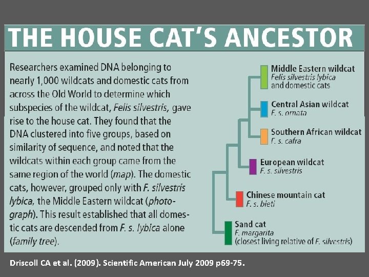 Driscoll CA et al. (2009). Scientific American July 2009 p 69 -75. 