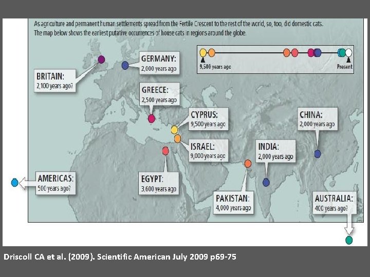 Driscoll CA et al. (2009). Scientific American July 2009 p 69 -75 