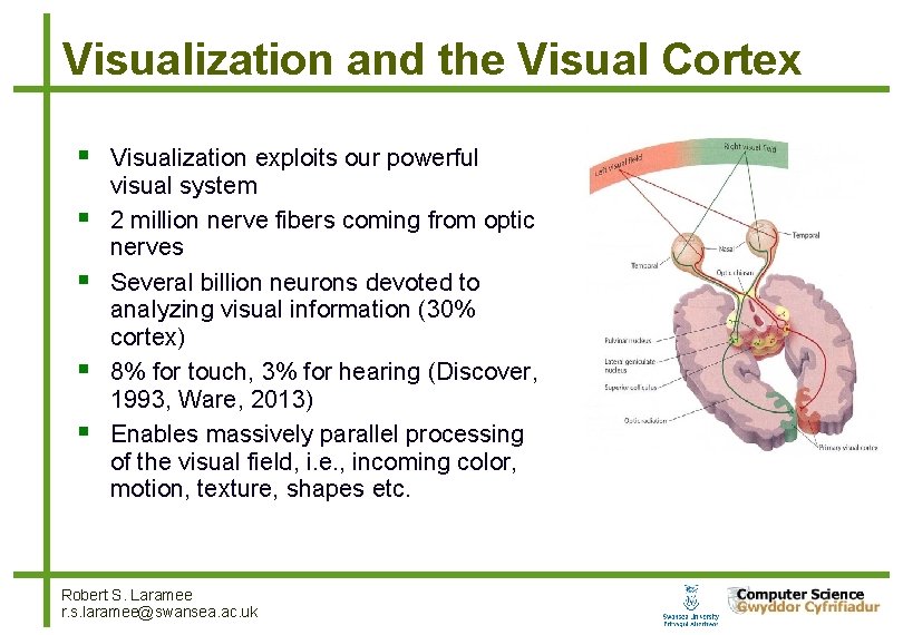 Visualization and the Visual Cortex Visualization exploits our powerful visual system 2 million nerve