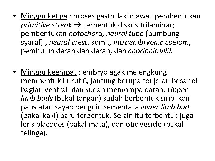  • Minggu ketiga : proses gastrulasi diawali pembentukan primitive streak terbentuk diskus trilaminar;