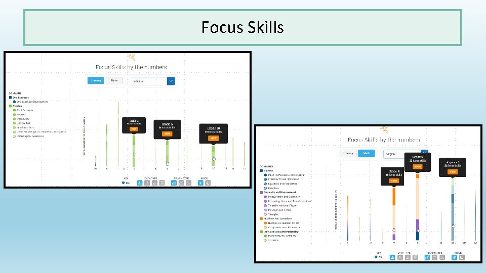 Focus Skills 
