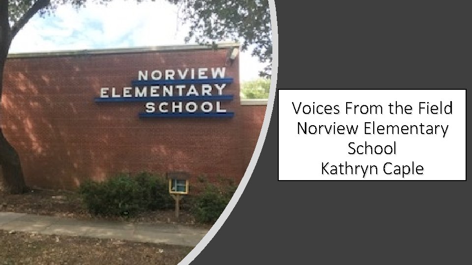 Voices From the Field Norview Elementary School Kathryn Caple 