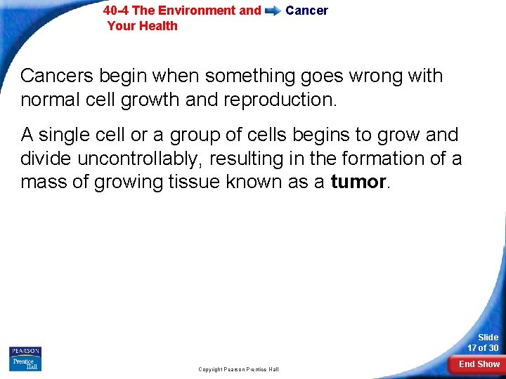 40 -4 The Environment and Your Health Cancers begin when something goes wrong with