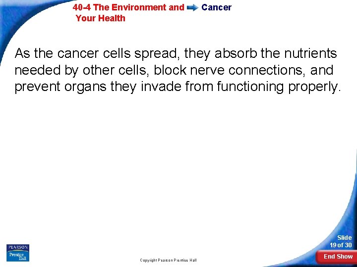 40 -4 The Environment and Your Health Cancer As the cancer cells spread, they