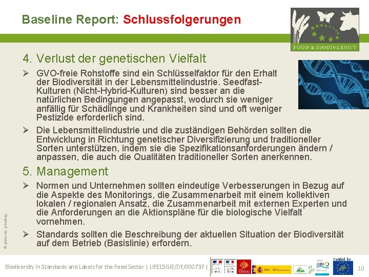 Baseline Report: Schlussfolgerungen 4. Verlust der genetischen Vielfalt Ø GVO-freie Rohstoffe sind ein Schlüsselfaktor